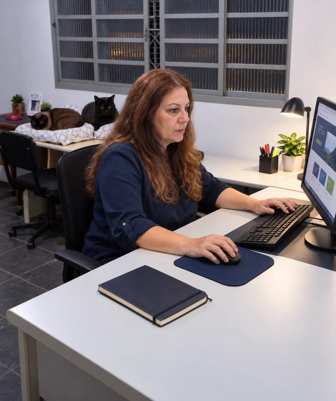 Sobre nós - Sites Funcionais